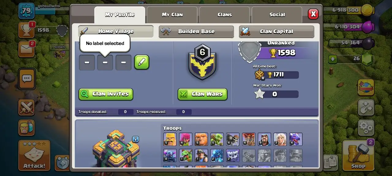 [#1309] DONATION TH 14 | 30-24-21-7-3 HEROES | FREE RENAME | INSTANT DELIVERY