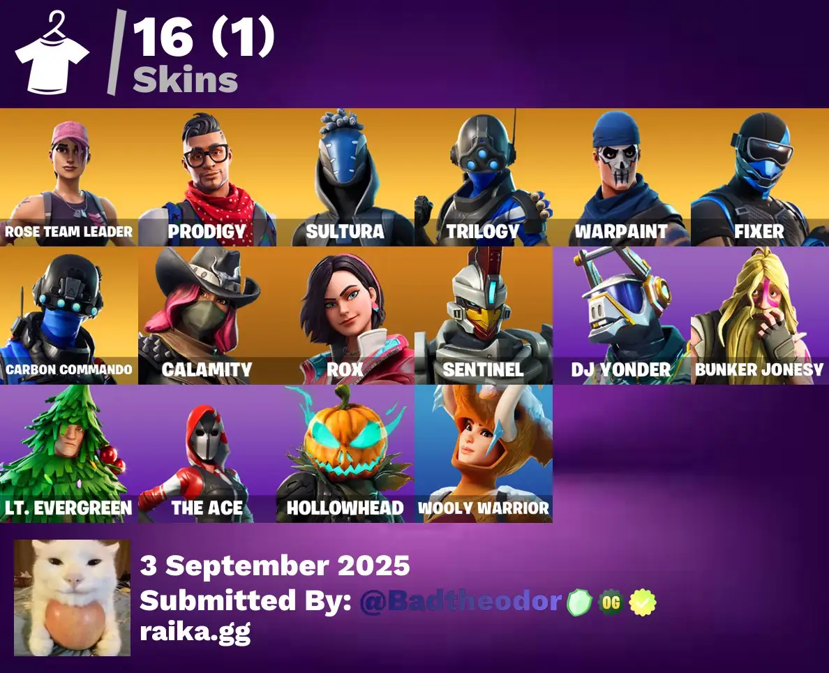 [PC/PSN/XBOX] 16 skins | OG STW | Prodigy | Sultura | Trilogy | Fixer | Carbon Commando | Calamity | Rox | Sentinel | DJ Yonder | Bunker Jonesy | 25 VB